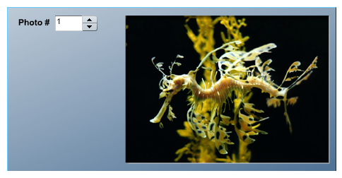 Screen shot features first slide with image of a sea horse.