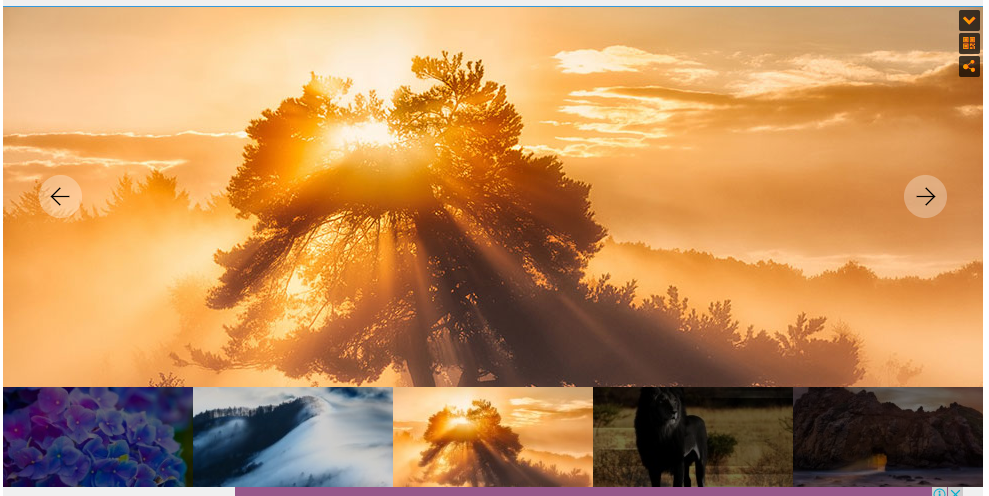 Main image is of sun rays filtering through a tree. Also visible are thumbnail images of beautiful natural sights.