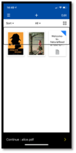 Screenshot of app listing available digital books.
