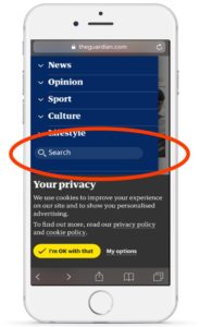 Screenshot of Guardian menu with "Search" field